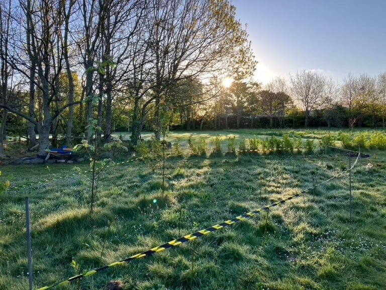 Forest Schools Guernsey Activities